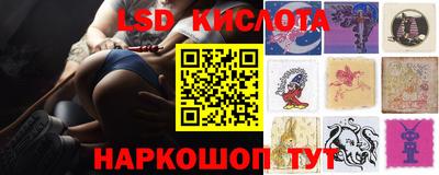 spice Заводоуковск