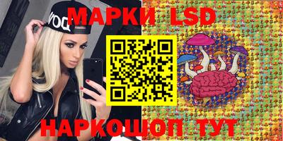 spice Заводоуковск