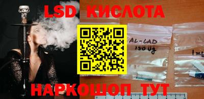 spice Заводоуковск