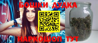 индика Жуковский