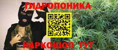 spice Заводоуковск