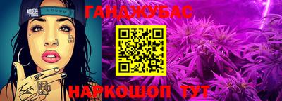 индика Жуковский