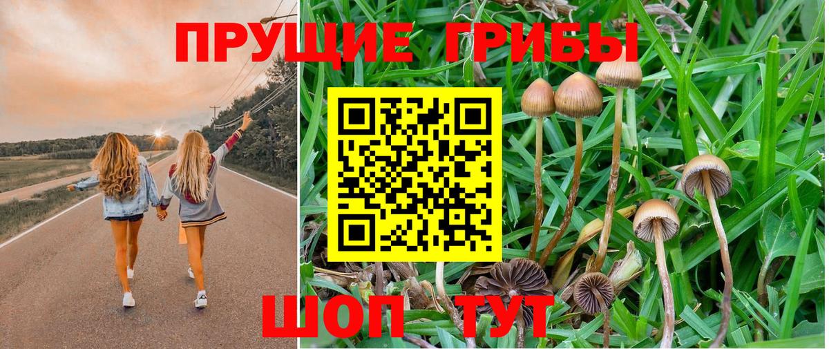 Шадринск  Псилоцибиновые грибы Magic Shrooms  Вход с VPN 